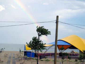 P1010043.jpg