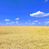 Serhiy